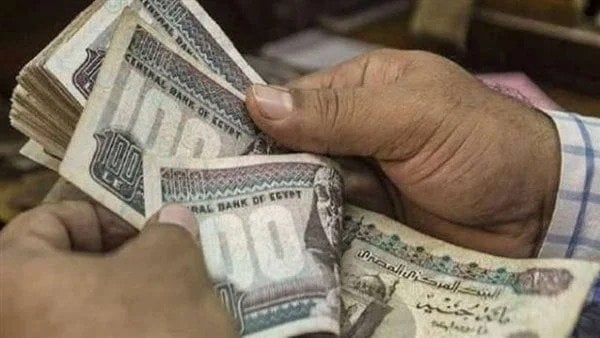 الإحصاء 16.8% زيادة في متوسط الأجر الشهري للعاملين بالدولة والقطاع الخاص خلال 2023