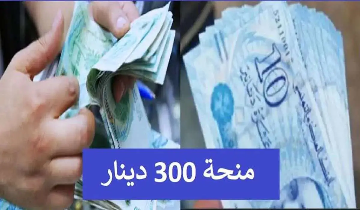 “فرصة مميزة” رابط التسجيل في منحة 300 دينار بتونس 2024 وشروط القبول