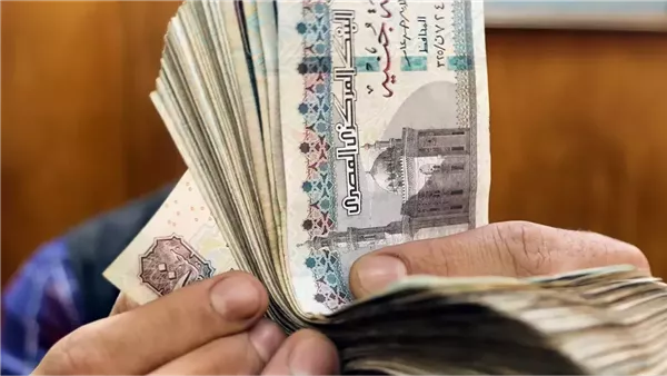 6000 جنيه كحد أدنى.. اكتشف تفاصيل تطبيق الحد الأدنى للمرتبات لهذه الفئات المهمة