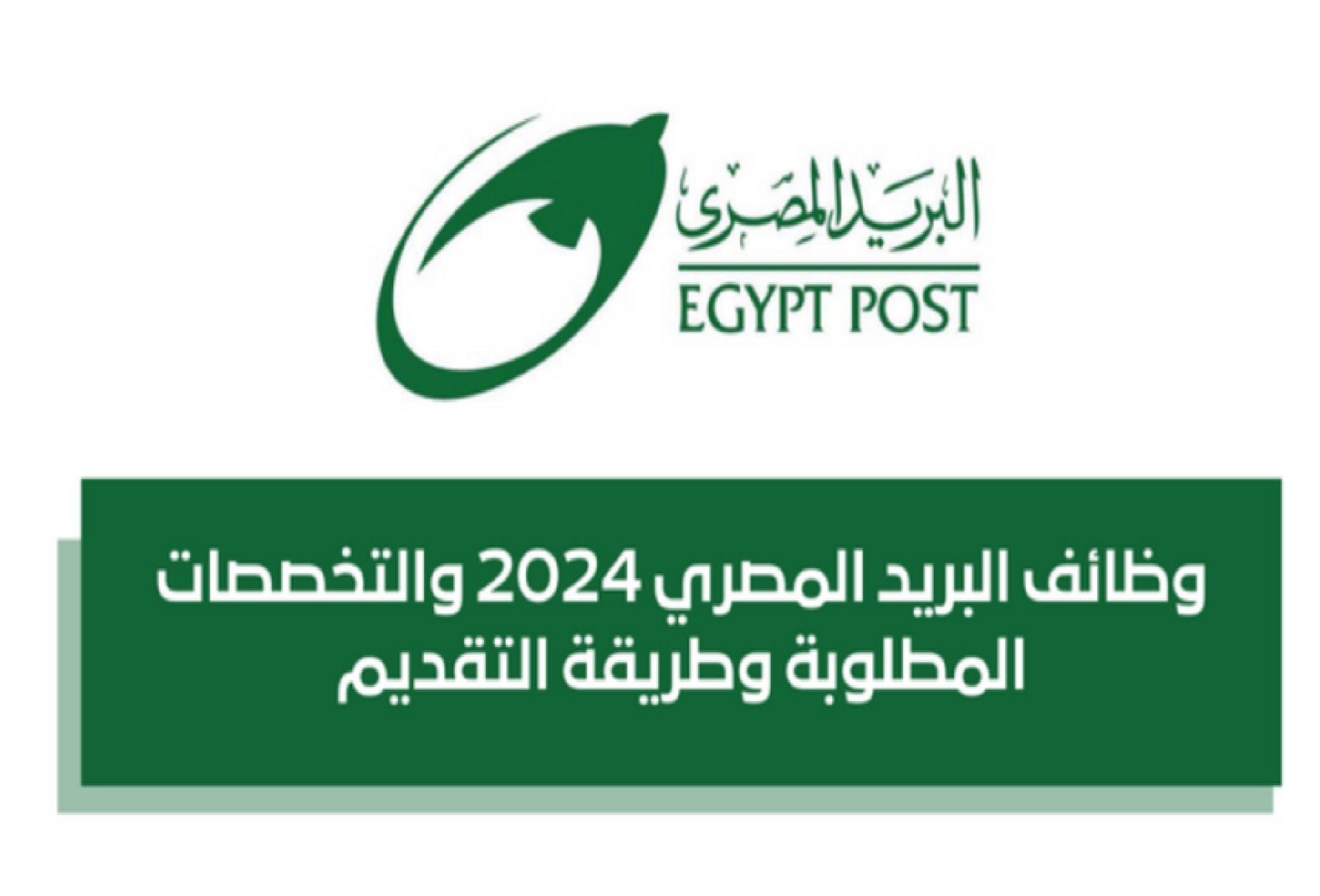 خطوات الاستعلام عن نتيجة وظائف البريد المصري 2024.. وما عدد الوظائف المتاحة والمقبولين؟