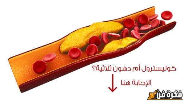 الفرق بين الكولسترول والدهون الثلاثية: فهم أساسي لصحتك وأهمية كل منهما في جسمك!