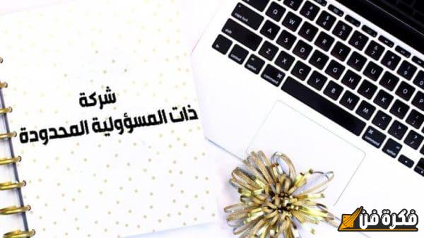 الشركات ذات المسئولية المحدودة: حماية استثماراتك وفتح آفاق جديدة للنجاح!