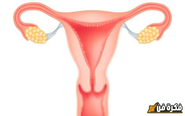 علاج سماكة بطانة الرحم بالقرآن: طريقة شفاء فريدة تجمع بين الإيمان والعلم لتحقيق صحة أفضل لكل امرأة