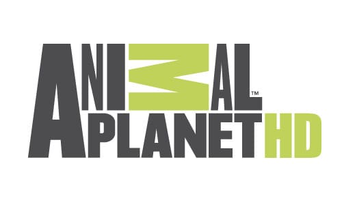 تردد قناة Animal Planet الجديد 2024 على النايل سات: اكتشف عالم الحيوان المثير ومغامراته الرائعة!