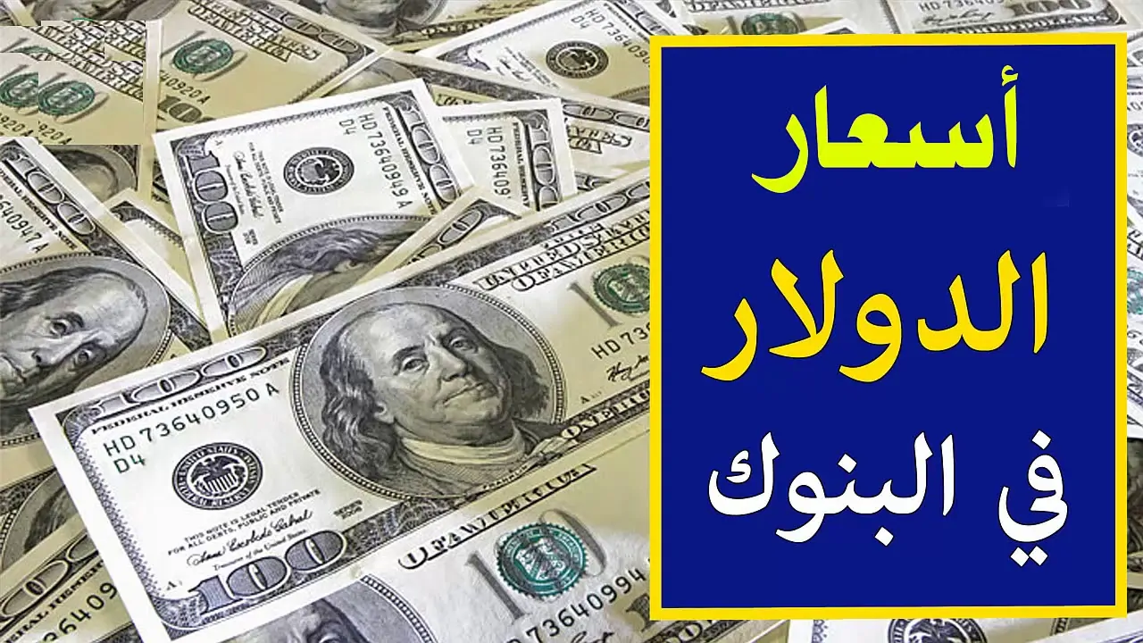 سعر الدولار في مصر اليوم 19 نوفمبر 2025 يشهد ارتفاعًا مثيرًا! اكتشف الأسباب والتأثيرات!