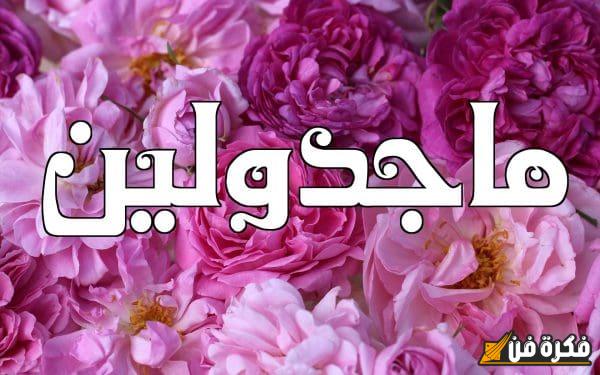 اكتشف عمق معنى اسم مجدولين: رحلة ساحرة إلى جذور الجمال والتميز!