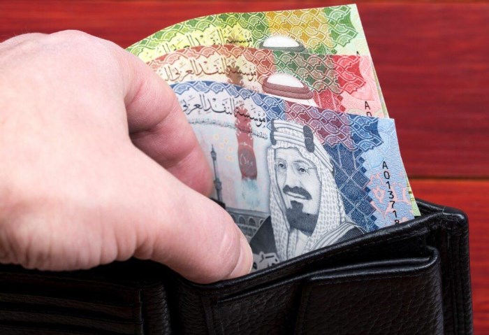 لو رايح عمرة، سعر الريال السعودي اليوم الأربعاء 11 ديسمبر 2024