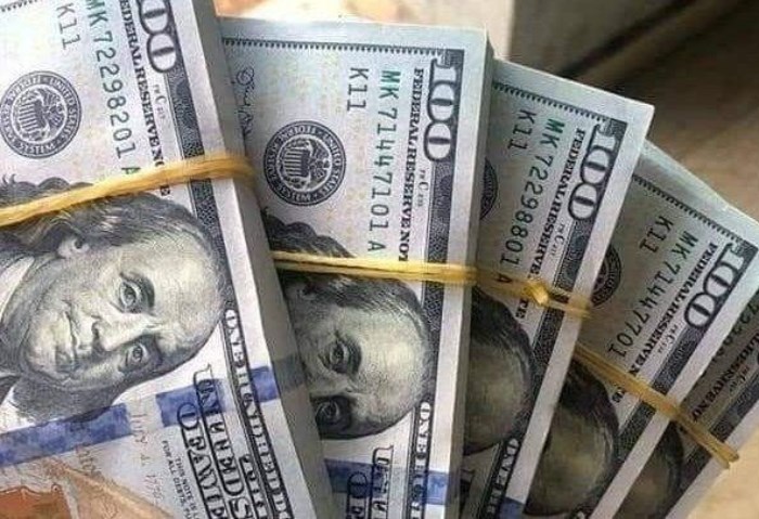 خبير اقتصادي: 5 أسباب رئيسية أدت لارتفاع سعر الدولار أمام الجنيه (خاص)