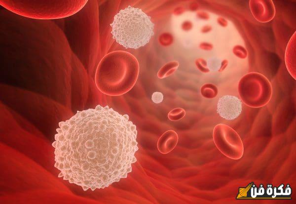 ماذا يعني ارتفاع neutrophils وانخفاض lymphocytes: اكتشف الدلالات الصحية والأسباب المحتملة وراء هذا التغيير الملحوظ في نتائج الدم!