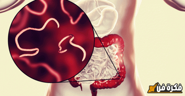 الديدان الدبوسية عند النساء: الأسباب، الأعراض، وطرق العلاج الفعالة التي يجب معرفتها!