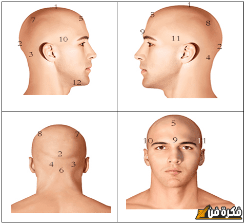 أماكن الحجامة في الرأس بالصور: اكتشف أسرار الفوائد والتقنيات المدهشة!