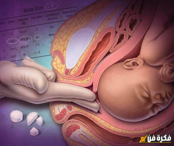 توسيع الرحم باليد للولادة: تقنية فعّالة وآمنة لدعم حوامل في رحلة الأمومة!